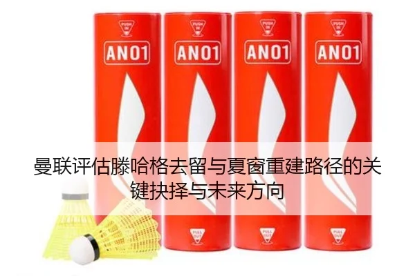 曼联评估滕哈格去留与夏窗重建路径的关键抉择与未来方向