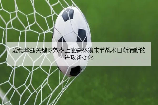 爱德华兹关键球效率上涨森林狼末节战术日渐清晰的进攻新变化